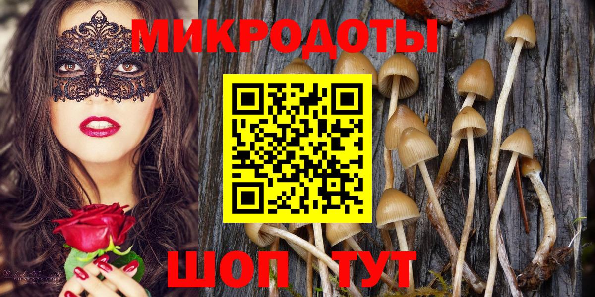 Псилоцибиновые грибы Psilocybe  Вход с VPN  Шебекино 